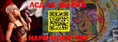 гашик Донской