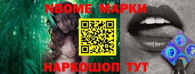 гашик Донской