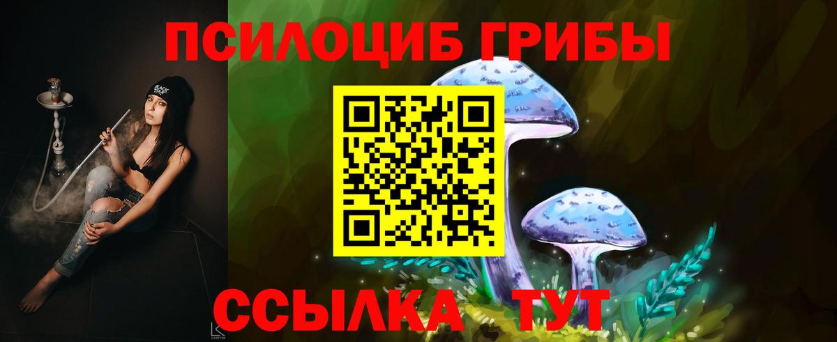 Псилоцибиновые грибы Cubensis  Вход с VPN  Магадан  Галлюциногенные грибы Magic Shrooms 
